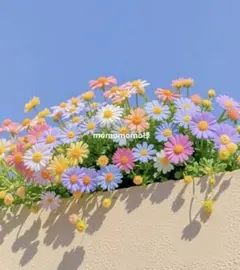 momomomo様専用