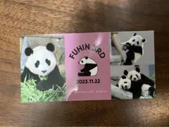 Item thumbnail for item 0474f6ff-c72a-451e-8bd3-658c6b204284