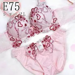 E75ラブリーハート（ピンク）♥️ブラジャーショーツセット♥️チュチュアンナ系