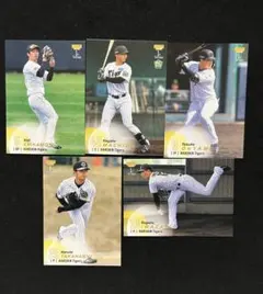 阪神タイガース BBM 大山悠輔 町田隼乙 近本光司 高橋遥人 岩崎優