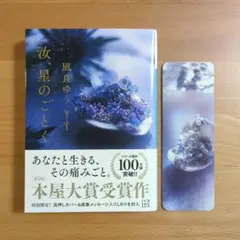 汝、星のごとく　初回限定　凪良ゆう　文庫
