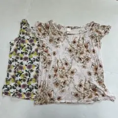 Item thumbnail for item c5f88d10-6db4-4499-a823-bba41a5320a8