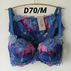 青　D70/М　トリンプ　プレミアム レッドレーベル