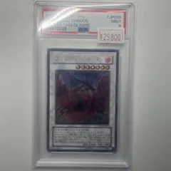 ハチ様専用！！遊戯王 ブラック・ローズ・ドラゴン レリーフ PSA10