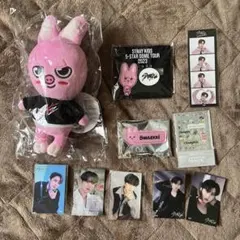 2026年最新】skzoo チャンビン dwaekkiの人気アイテム - メルカリ