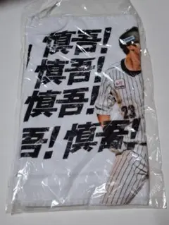 Item thumbnail for item 302d6174-58cf-4af9-b431-af7548111c85