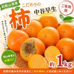 木成り完全完熟❗️山形県産『節田梅』2L〜特大合計4kg 木成り完熟❗️山形県産『節田梅』1kg - メルカリ