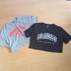 レディースxsショート丈半袖Tシャツカットソーセット
