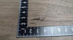 K10WG 片耳用 エメラルド ホワイトゴールドピアス