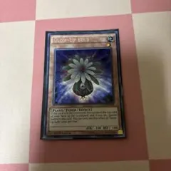 希少】遊戯王 EU版 英語版 グローアップバルブ 25thシークレット 1st