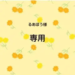 専用　るあぼう様おまとめ品