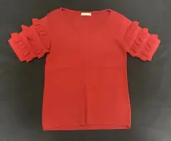 ⭐︎極美品⭐︎Aveniretoile フリルスリーブニットプルオーバーのサムネイル