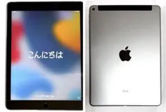 iPad Air 2 128GB （Cellularモデル）のサムネイル