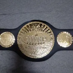 2026年最新】iwgp ベルト プラスチックの人気アイテム - メルカリ