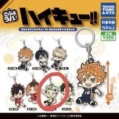 ハイキュー！ でふぉラバ めじるしガチャマスコット 木兎 めじるしチャーム