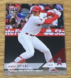 Item thumbnail for item 49a11586-7a6f-4fcf-b674-45e56c443c61