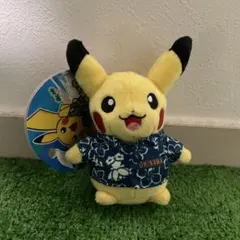 ☆北海道限定☆ピカチュウぬいぐるみ（雪像/クラーク像） - メルカリ