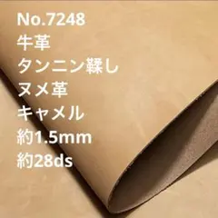 Item thumbnail for item 627f8297-bd03-490c-9d9f-aa520b200515