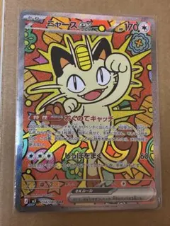 ぴち様 リクエスト 2点 まとめ商品