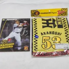 Item thumbnail for item 4f46a986-ff57-4427-aeef-b3643fe81bcf