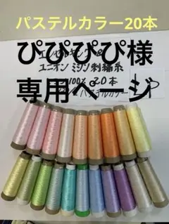 ぴぴぴぴ様専用ページ