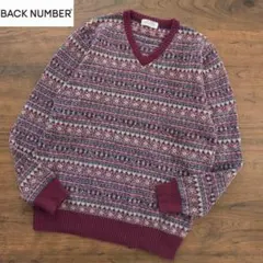 BACK NUMBER/バックナンバー Vネックニットセーター ジャガードニット