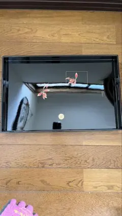 Item thumbnail for item 9abb2888-9398-4eea-8416-de2380a4ee64