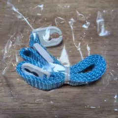 Item thumbnail for item 5671d5e8-7699-4ccb-bb17-dbeb1f969f11