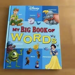 【美品・未使用あり】DWE 2冊セットWords ステッカーブック 美品・未使用あり】DWE 2冊セットWords ステッカーブック 美品