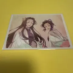 新品】 鬼滅の刃 劇場版 無限城編 胡蝶しのぶの追憶ブロマイド 胡蝶