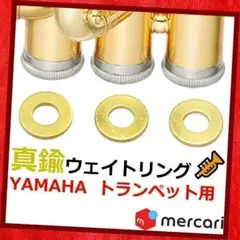 Item thumbnail for item 17f8313f-988c-4e0c-ba90-16ea687e7a6d