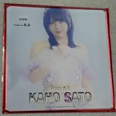 Item thumbnail for item 98bdc58e-53ed-46e3-a6ef-2ec4a71063b1