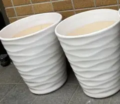WD胡蝶蘭 植木鉢 2個セット ホワイト 陶器製 - メルカリ