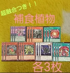 Item thumbnail for item ee939038-f30a-4f64-a2b7-15b92bdd27f0