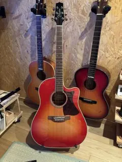 完全動作品 TAKAMINE 赤プリ NPT 初期型 プリアンプ タカミネ 廃盤 完全動作品 TAKAMINE 赤プリ NPT 初期型 プリアンプ タカミネ