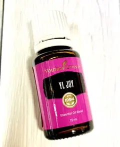 2026年最新】ワイエルジョイの人気アイテム - メルカリ