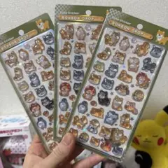 ボンボンドロップシール　和柄　柴犬　クーリア　正規品