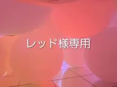 2026年最新】ドテラ ミネラルの人気アイテム - メルカリ