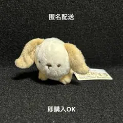 すみっコぐらし ふしぎなうさぎのおにわ ふしぎなこうさぎ (オレンジ)てのり