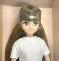 未開封☆お顔厳選☆2025年日本橋オリジナル パレットF リカちゃん