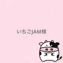いちごJAM様 リクエスト 2点 まとめ商品