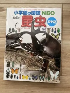 小学校の図鑑NEO 新版 昆虫 DVD付き