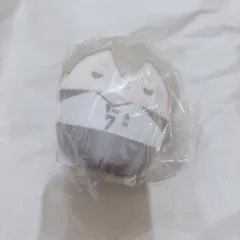 ハイキュー‼︎ くじメイト　ふわコロりん　D賞　木葉