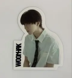 BOYNEXTDOOR THE ACTION ウナク ステッカー