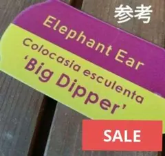 goul4711様 リクエスト 3点 まとめ商品