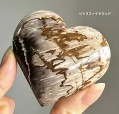 ★特選オンリー１品石★木の化石☆【ペトリファイドウッド珪化木✴︎原石】♡ 2025年最新】ペトリファイドウッドの人気アイテム - メルカリ