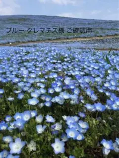 No.276 シンプルピアス ブルー まとめ売り お買い得 セール