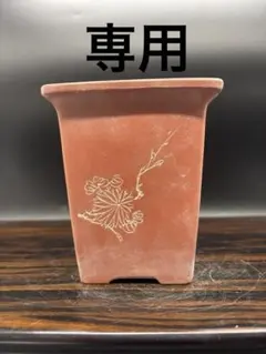 2026年最新】中国 植木鉢 朱泥の人気アイテム - メルカリ