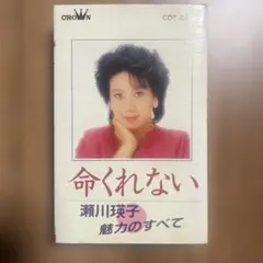 瀬川瑛子 命くれない 魅力のすべて カセットテープ再生確認済み