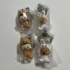 Straykids SKZOOつまんでつなげてますこっと みそ